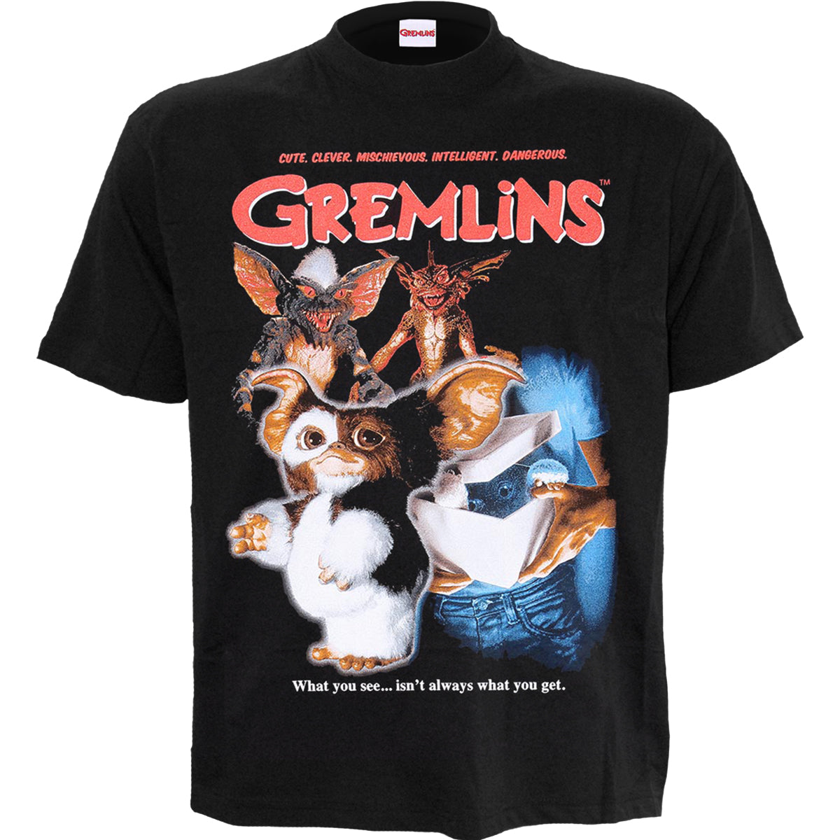 GREMLINS - STRIPE  - Front Print T-Shirt Black