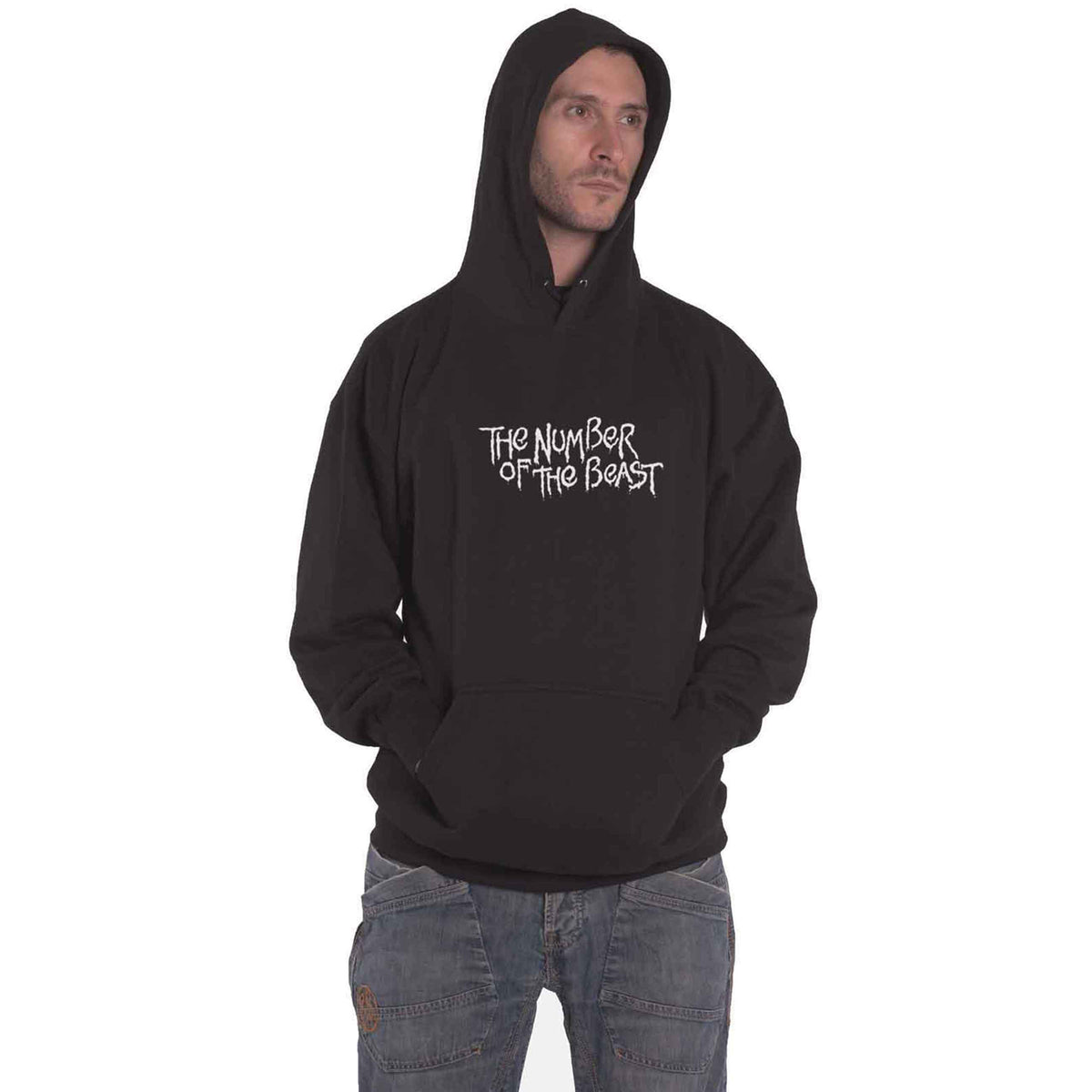 IRON MAIDEN - NUMBER OF THE BEAST ONE COLOUR - Pullover Hoodie Black (Back Print)