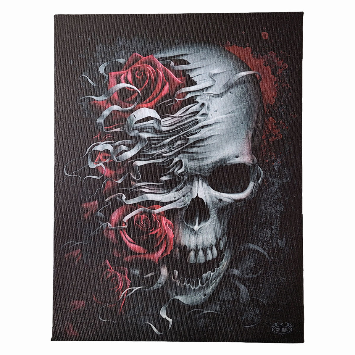 SKULLS N' ROSES - Canvas Poster 25x19cm